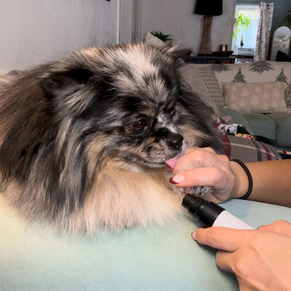 Whisper Groom Pro
