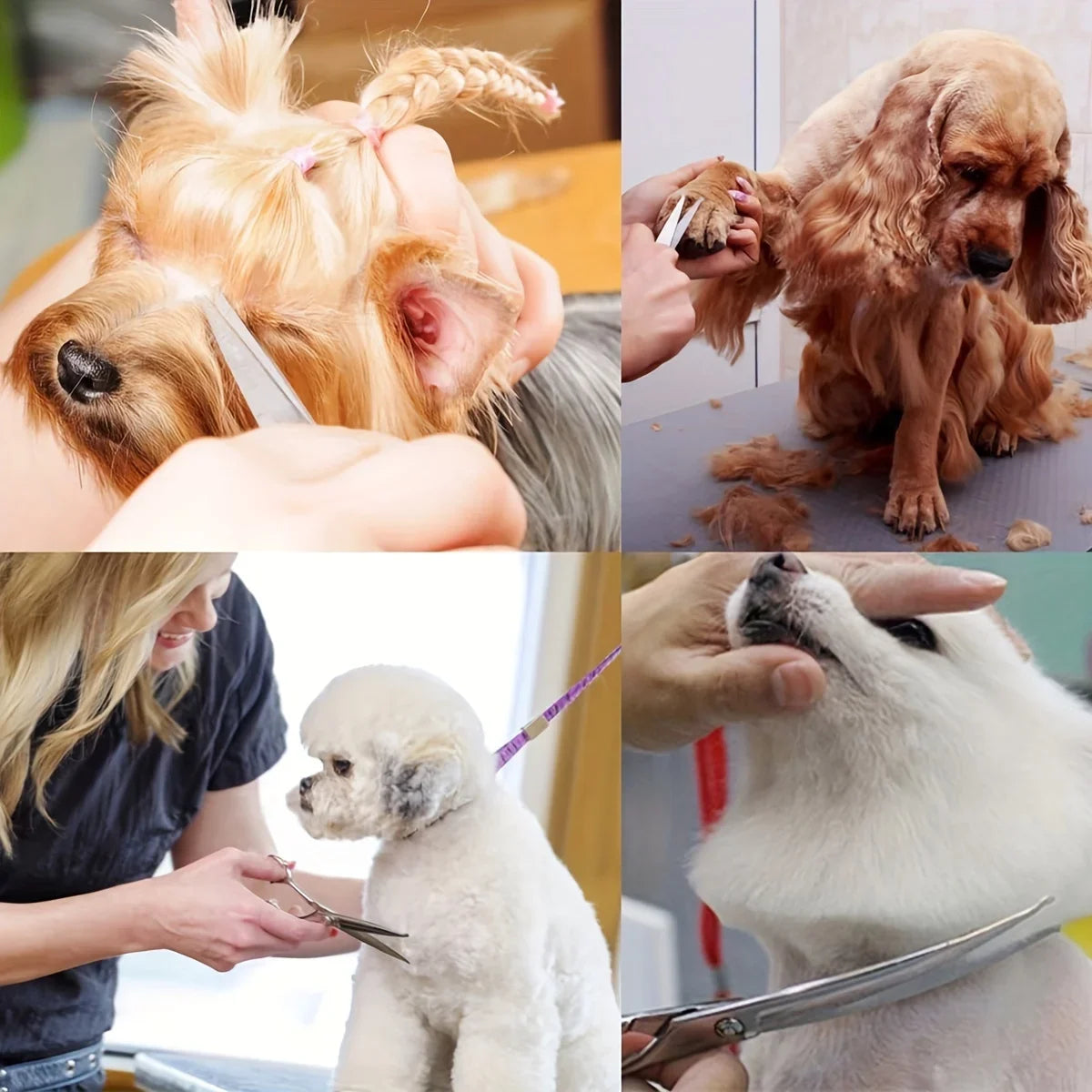 Doodle Face & Paw Grooming Kit – 5-in-1 Pet Scissors Set