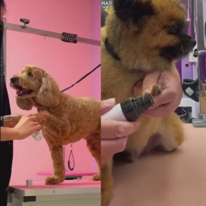 Whisper Groom Pro